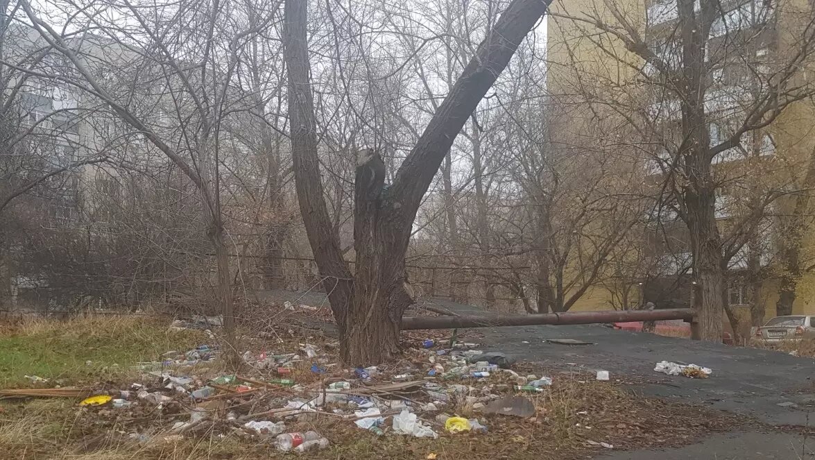     Источник: rostovgazeta.ru