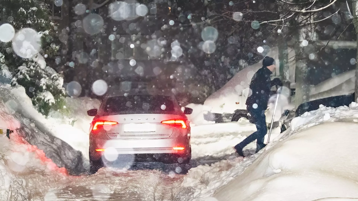 Фото: 1MI. Снегопад