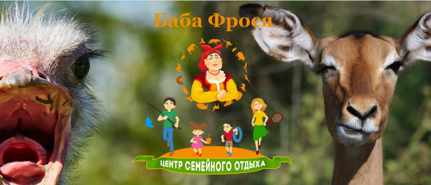 Почему зоопарк «Баба Фрося» может стать лучшим решением для вашего отдыха?