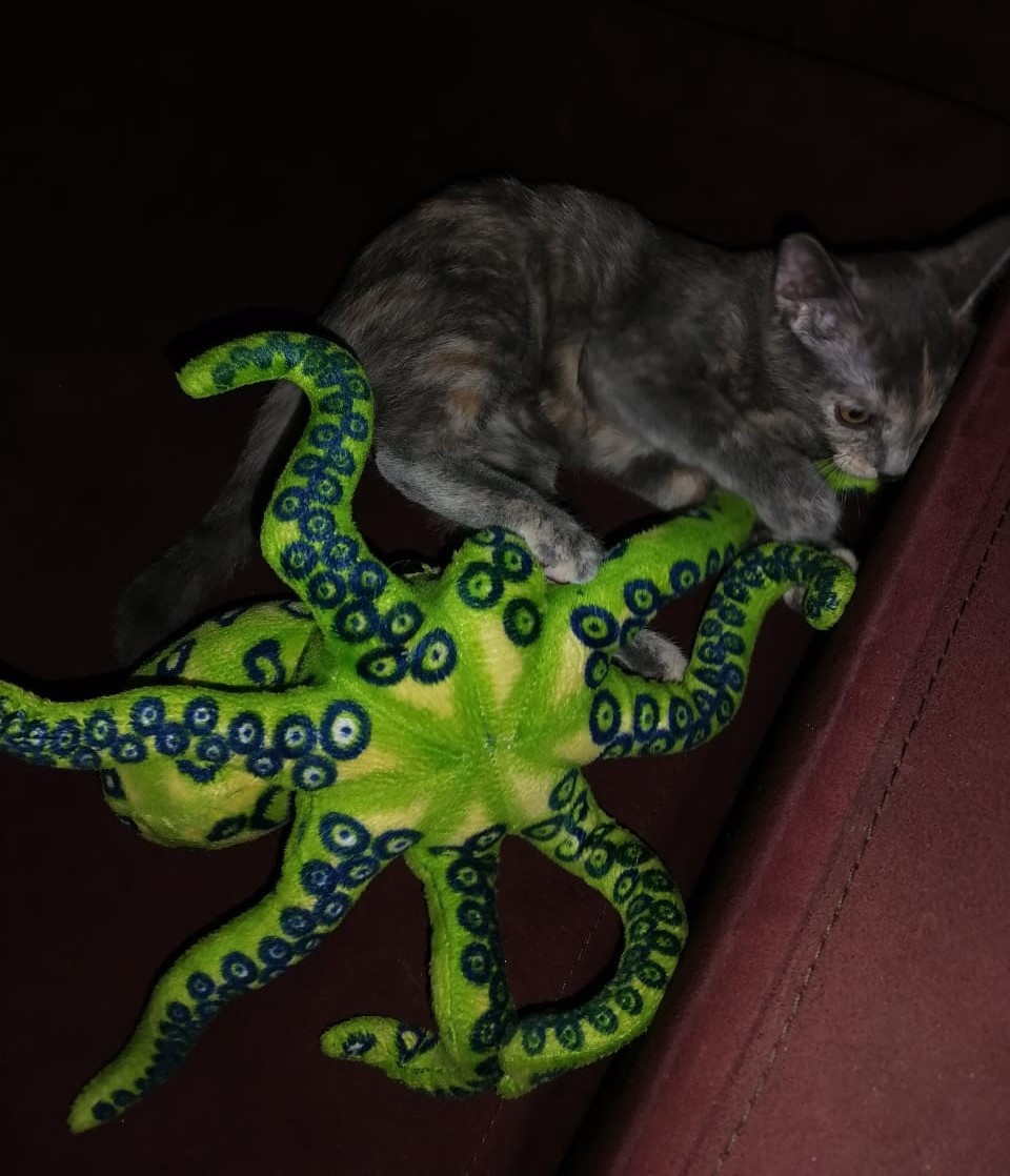 Фото автора 