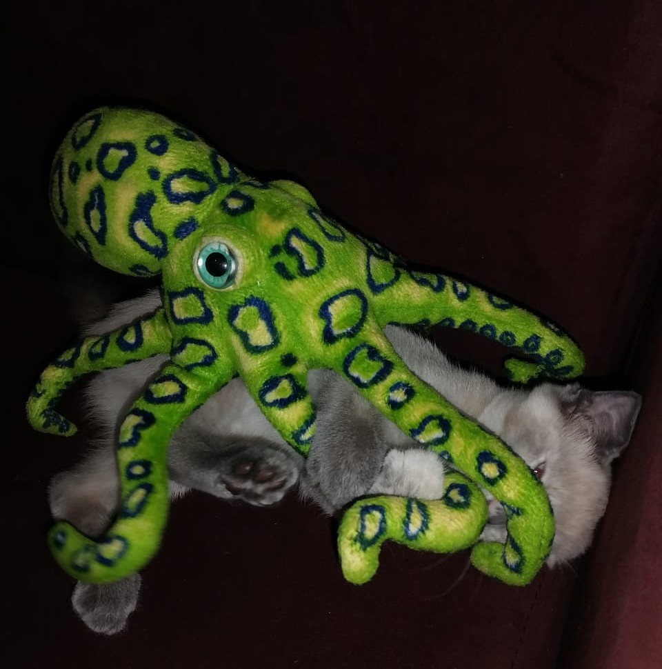 фото автора 