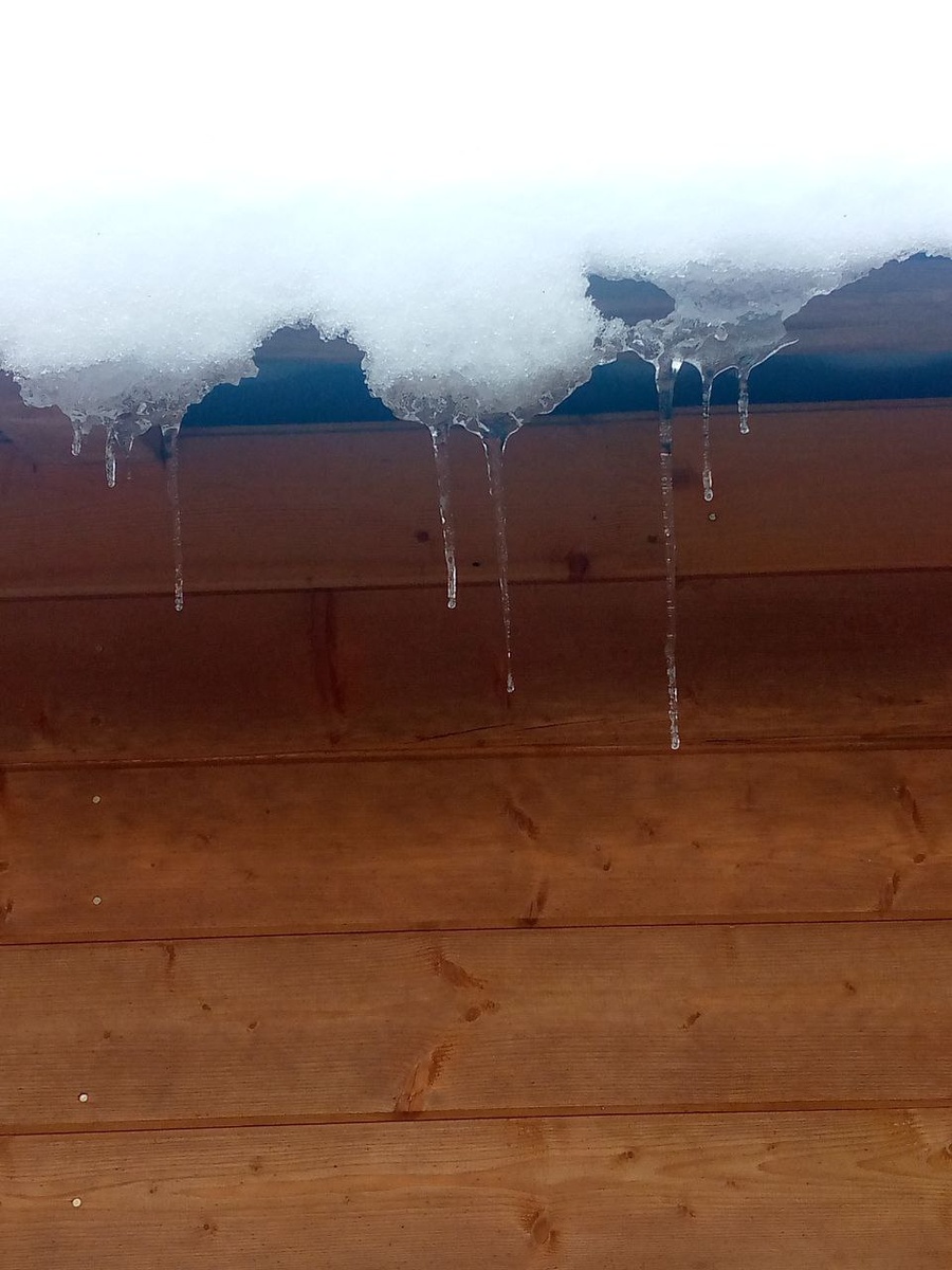 Застыли на морозе