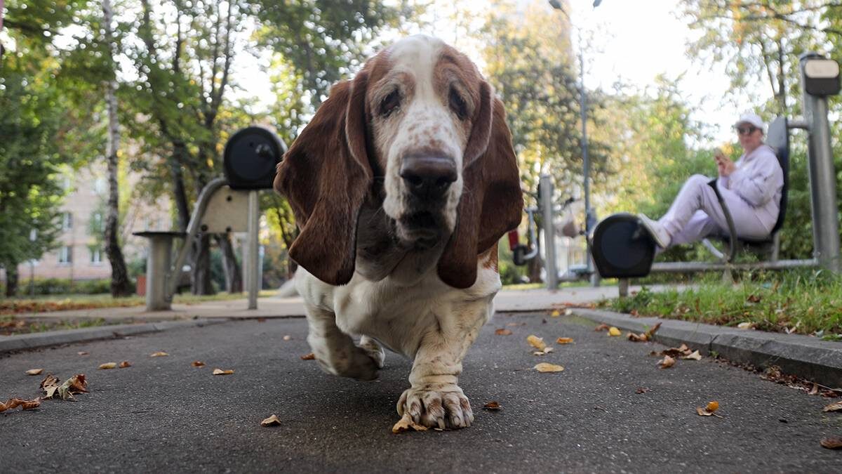    Фото: Артур Новосильцев / АГН Москва