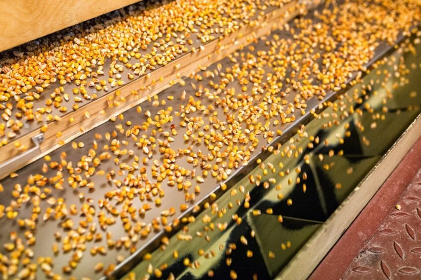 Разработано rg.ru. Источник фото: https://rg.ru/2016/02/24/reg-cfo/monsanto-rossia.html