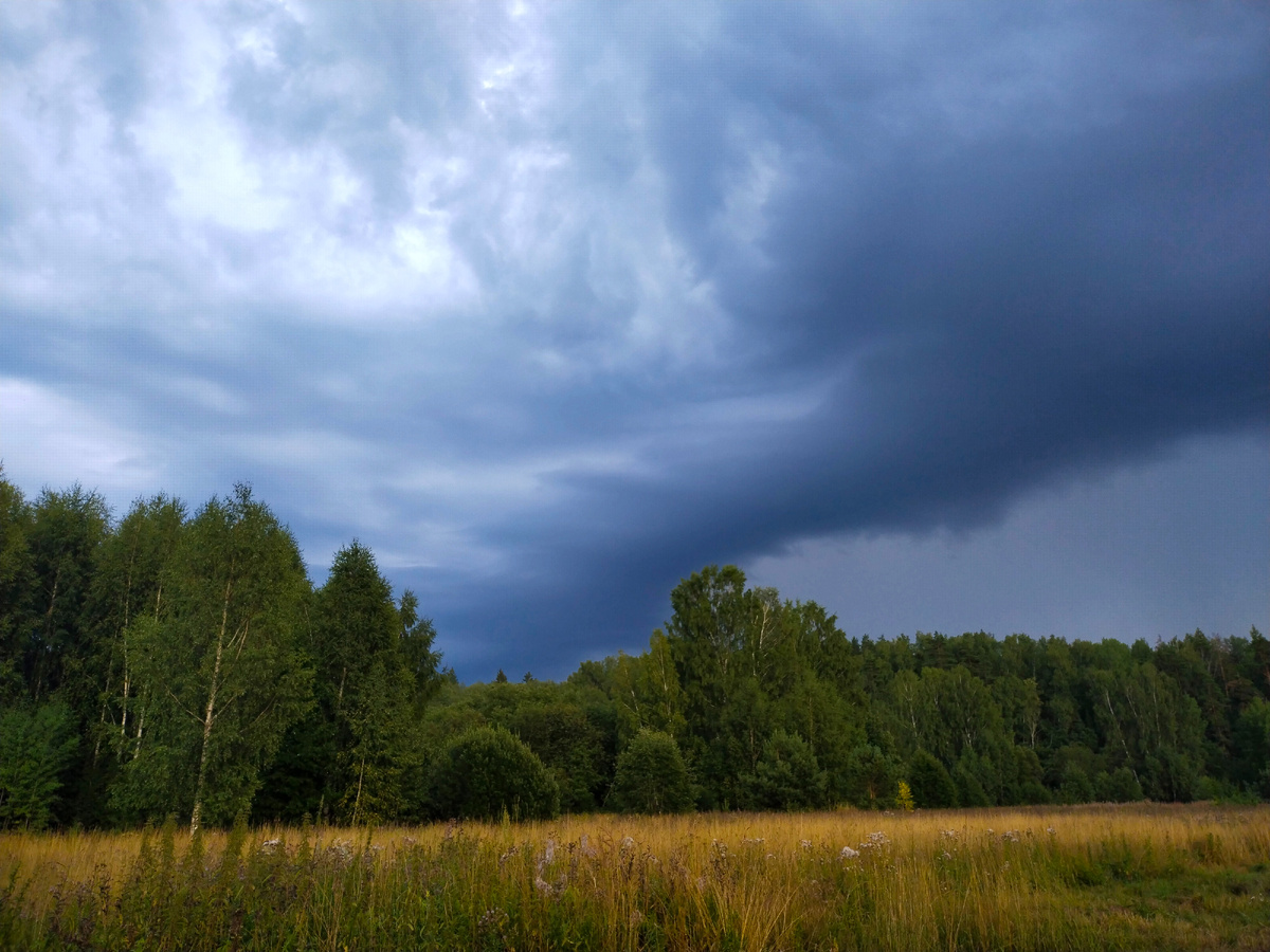 Около Серой