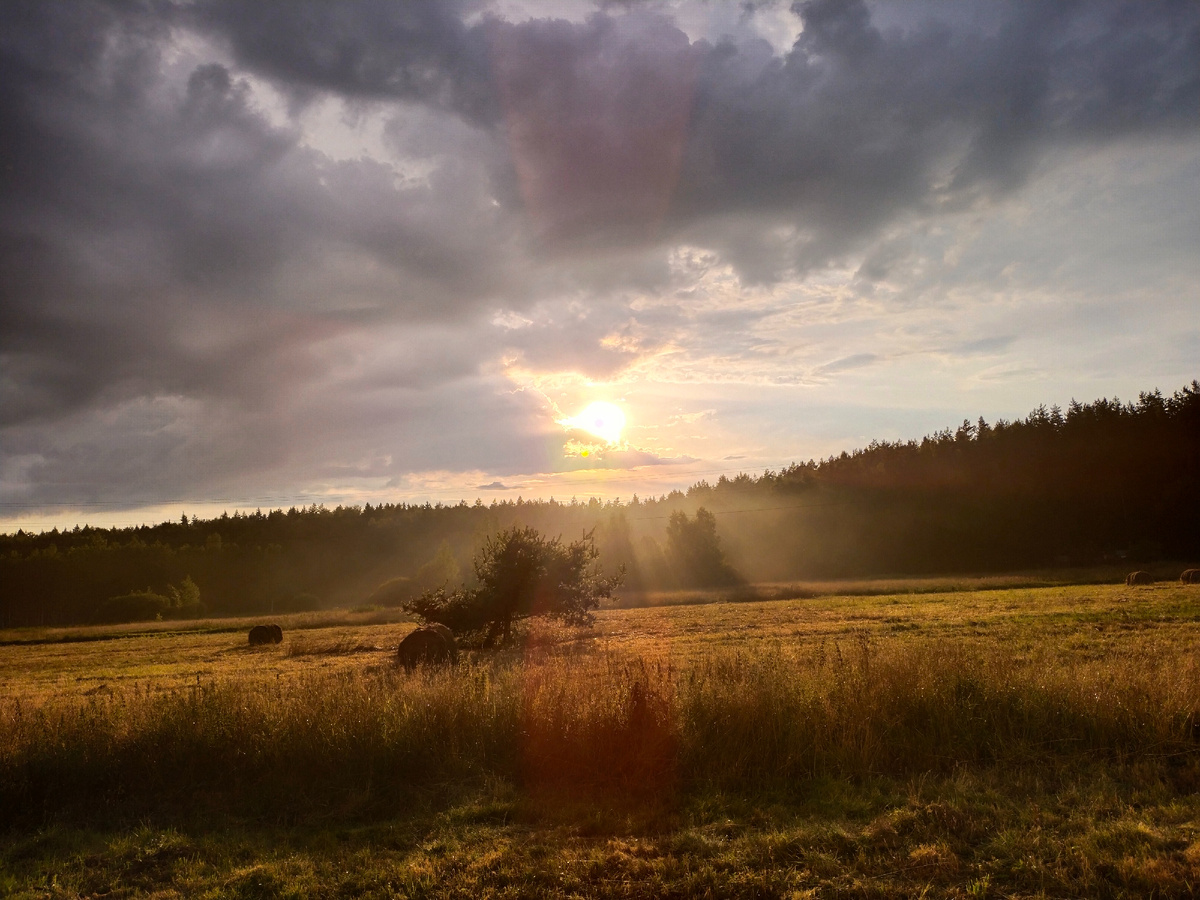 Природа Александрова