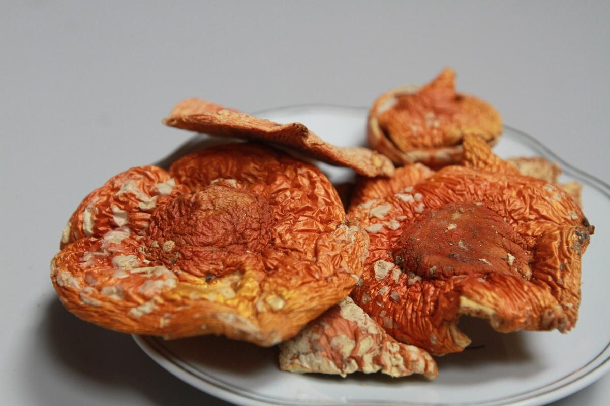 Автор фото: Павел Хацаюк/ИД «Вечерняя Казань»