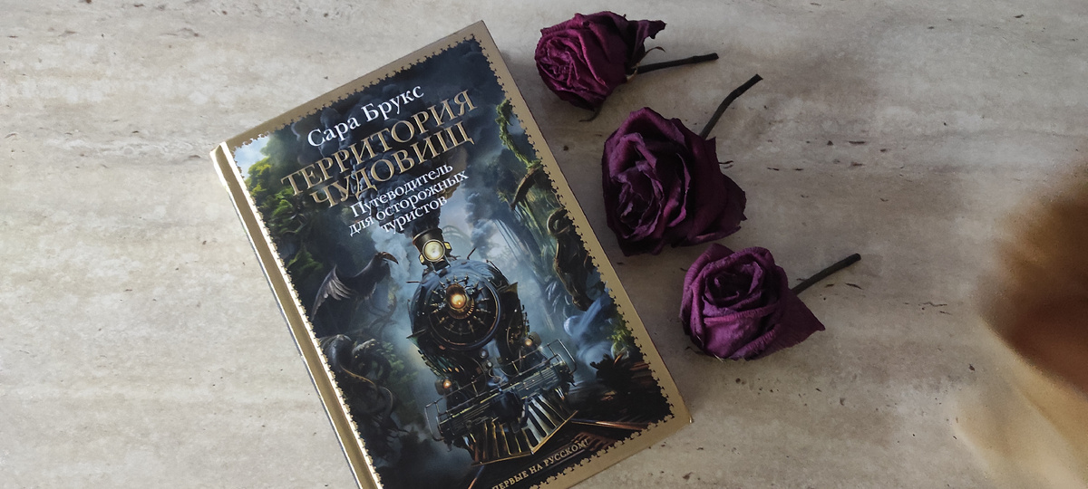 Личный архив.. Представьте, что смазанное рыжее пятно в правом углу это чудовище из Запустенья 🤣