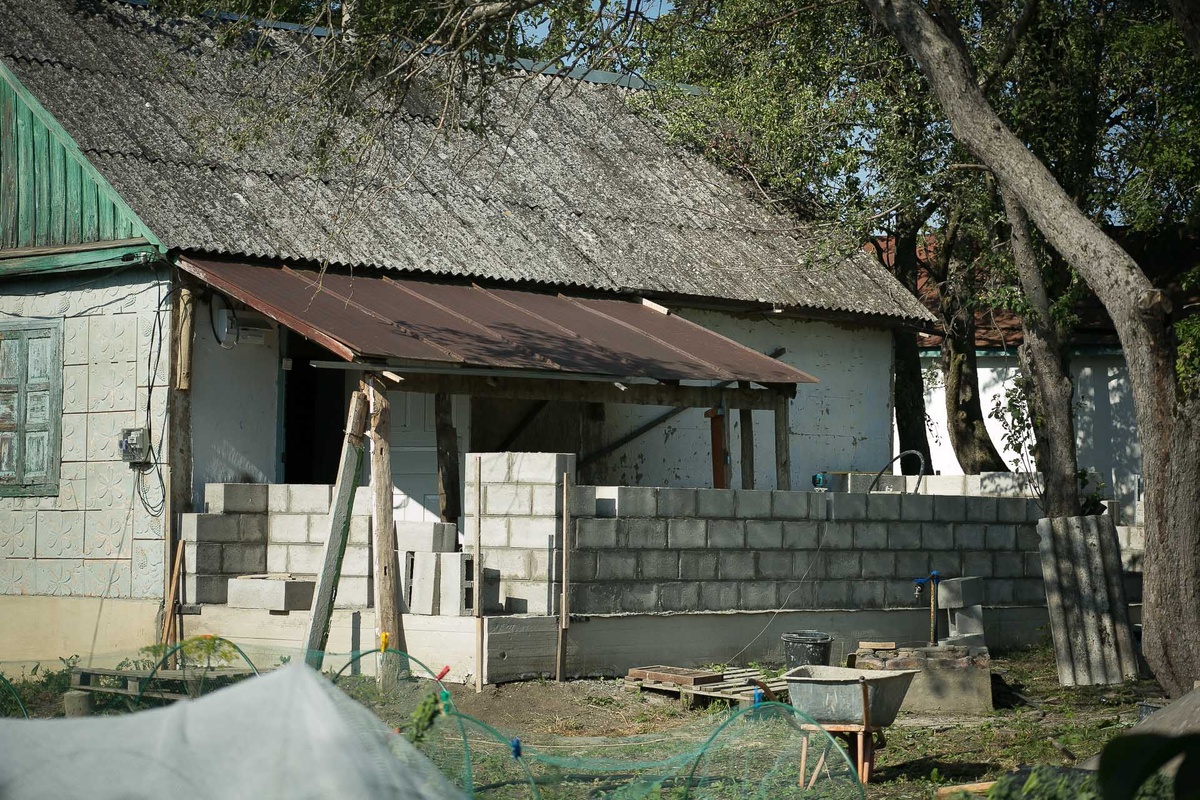 Автор Елена Якимова /Greenfingers