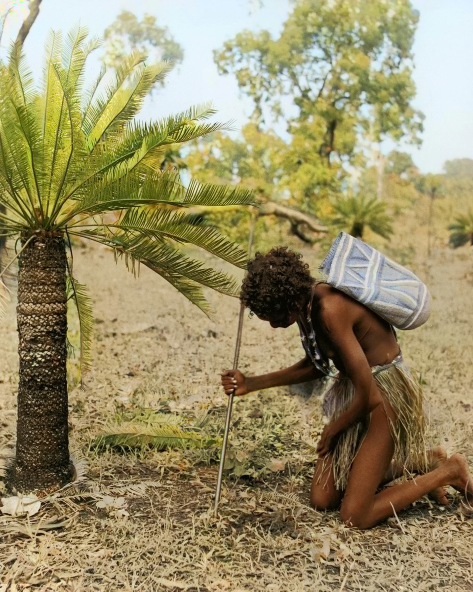 Фотограф: Ричард Харрингтон