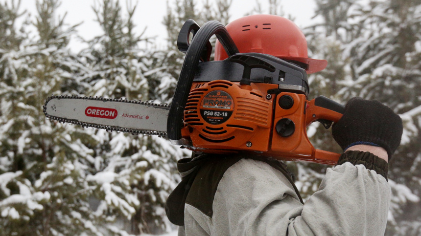    Фото: © РИА Новости/Ростислав Нетисов