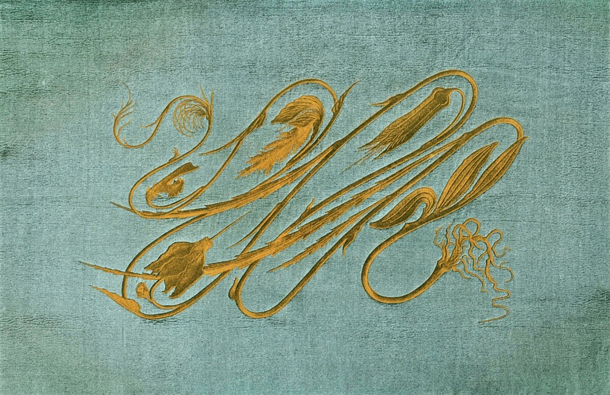 Вышивка Цветок цикломена (1895). Герман Обрист (1862-1927)