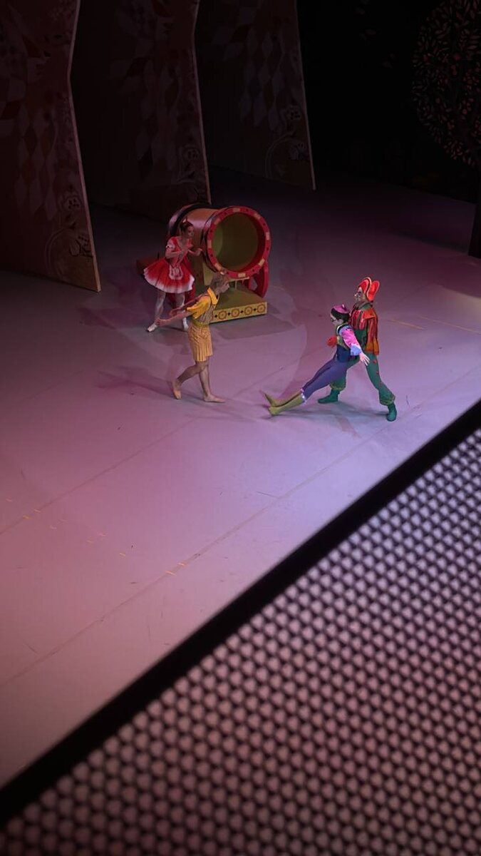 Чиполлино — Ратмир Джумалиев. Редисочка — Мария Мишина. Граф Вишенка — Клим Ефимов. Синьор Помидор — Александр Водопетов. 