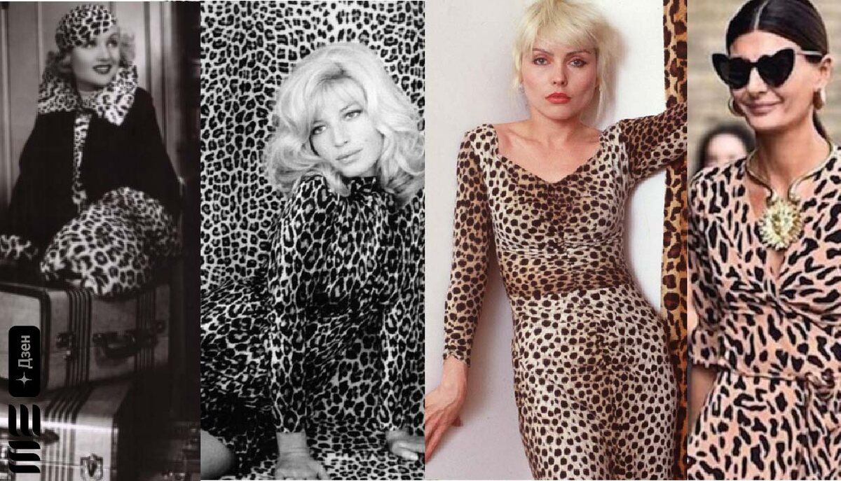 История леопардового принта