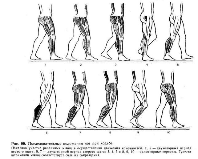 Вот вам идеальный вариант движения.