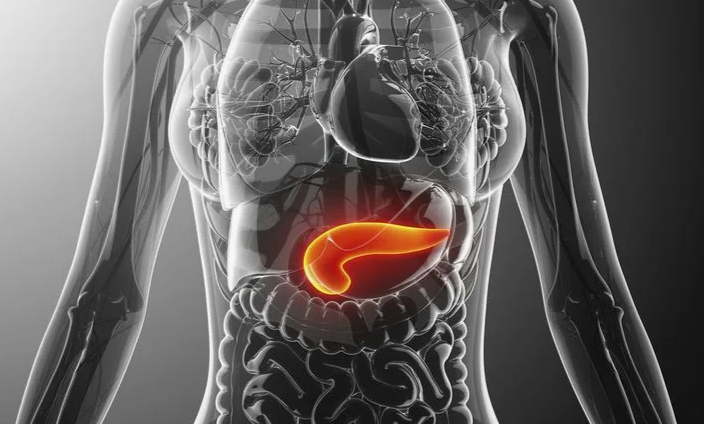 Диета при панкреатите поджелудочной железы: примерное меню, что можно есть