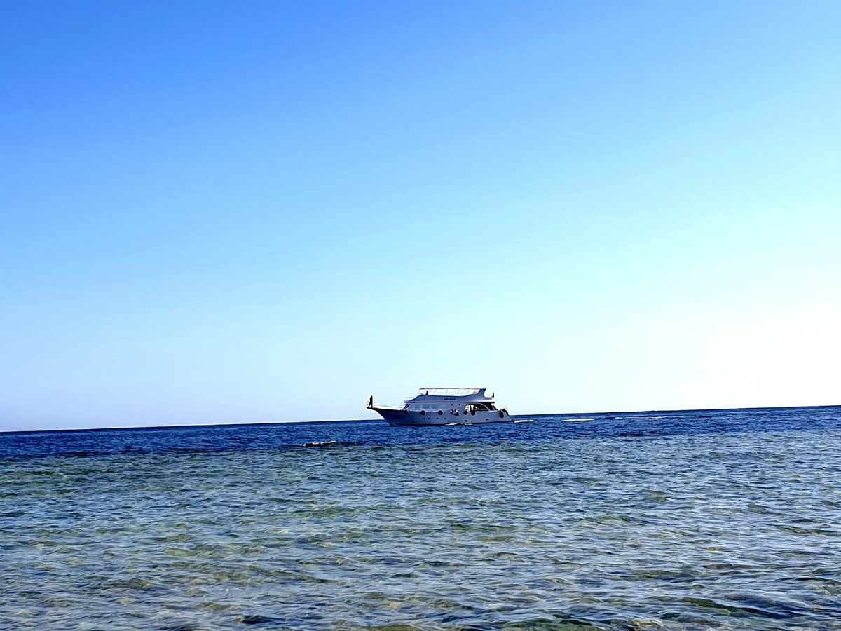 Из архива. На этот раз будет большой круизный лайнер