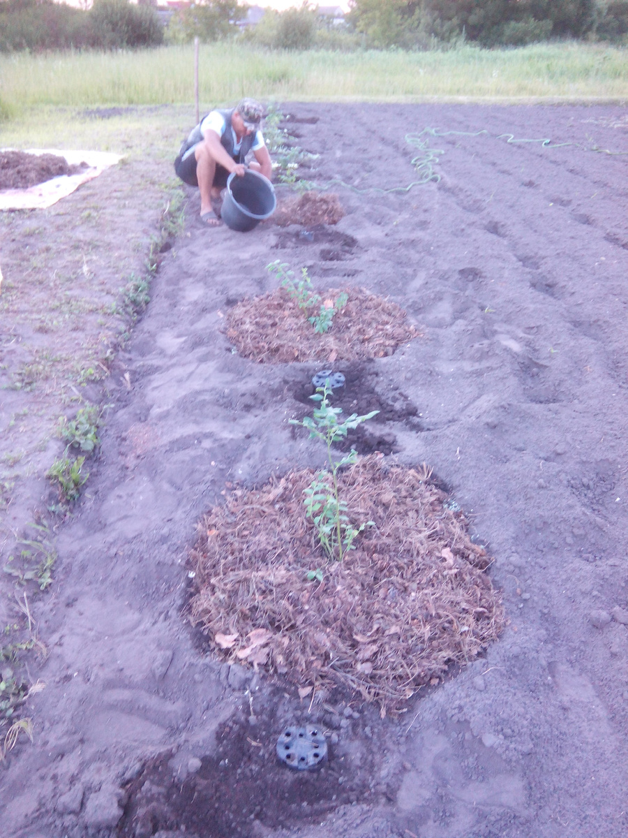 Да, пришлось постараться и вложиться, раз и на всё время. Теперь только поддержка.
