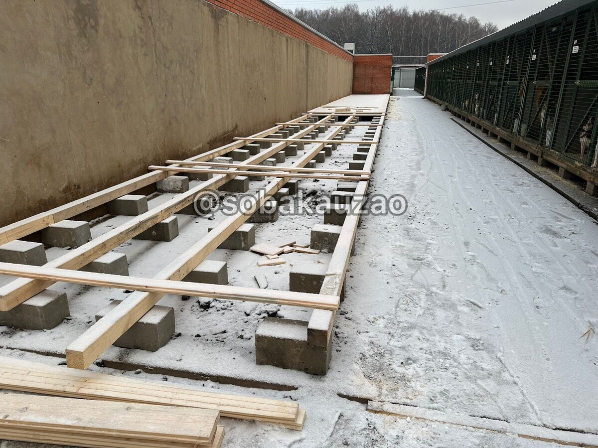 Начало строительства вольеров 