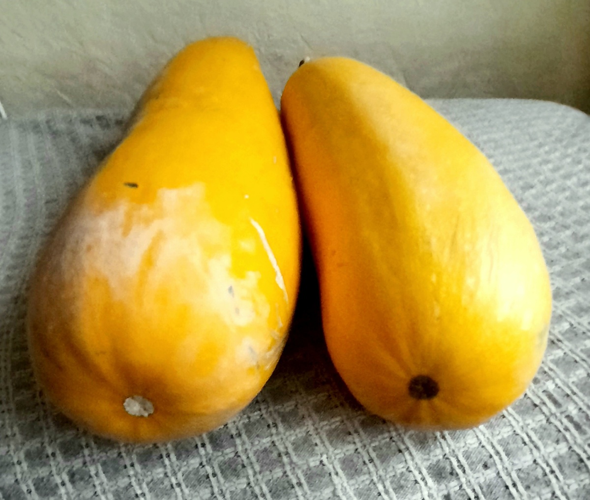 Кабачок "Золотой краб". Остатки, как говорится, сладки)