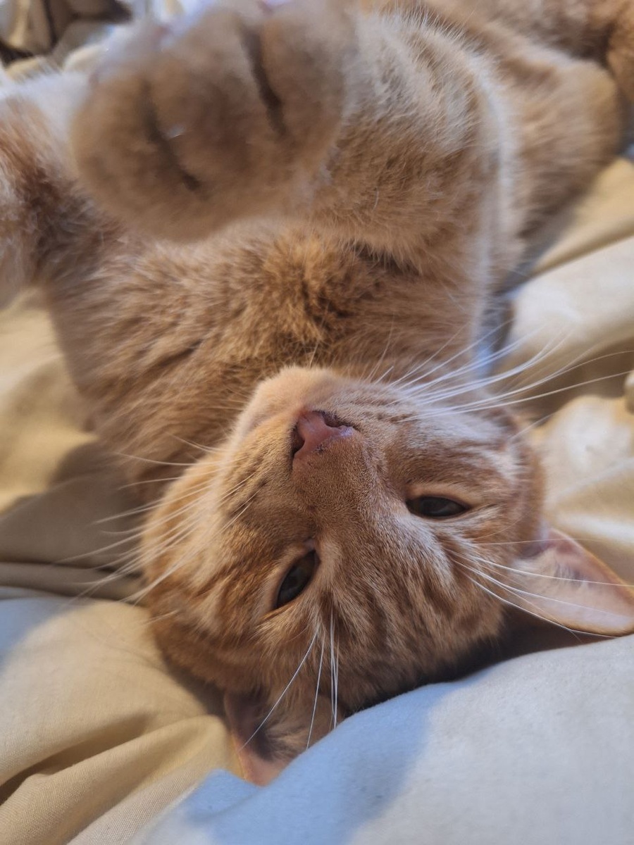 Гена позирует