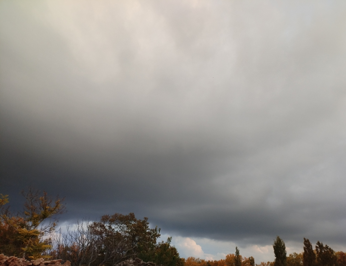 Тревожное будущее