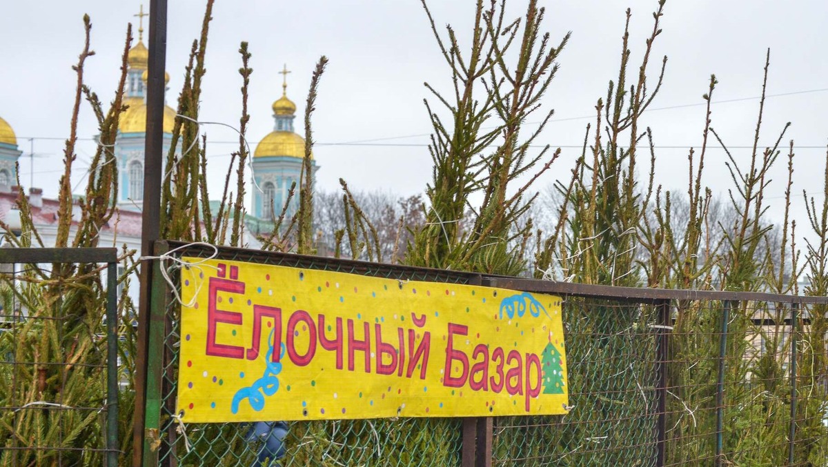    Изображение: lori