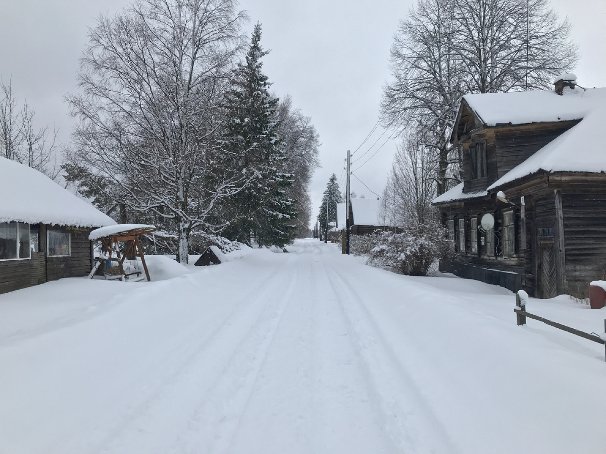 Фото автора