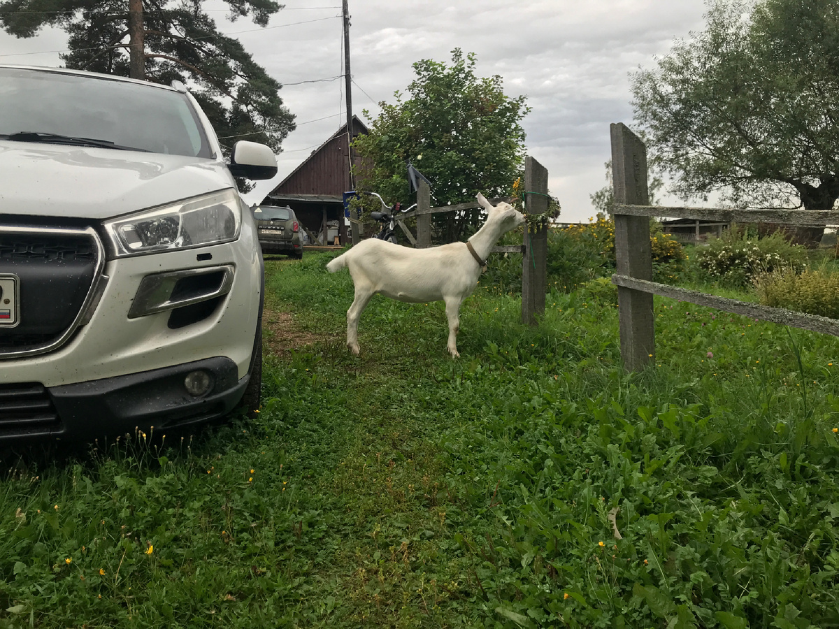 Фото автора