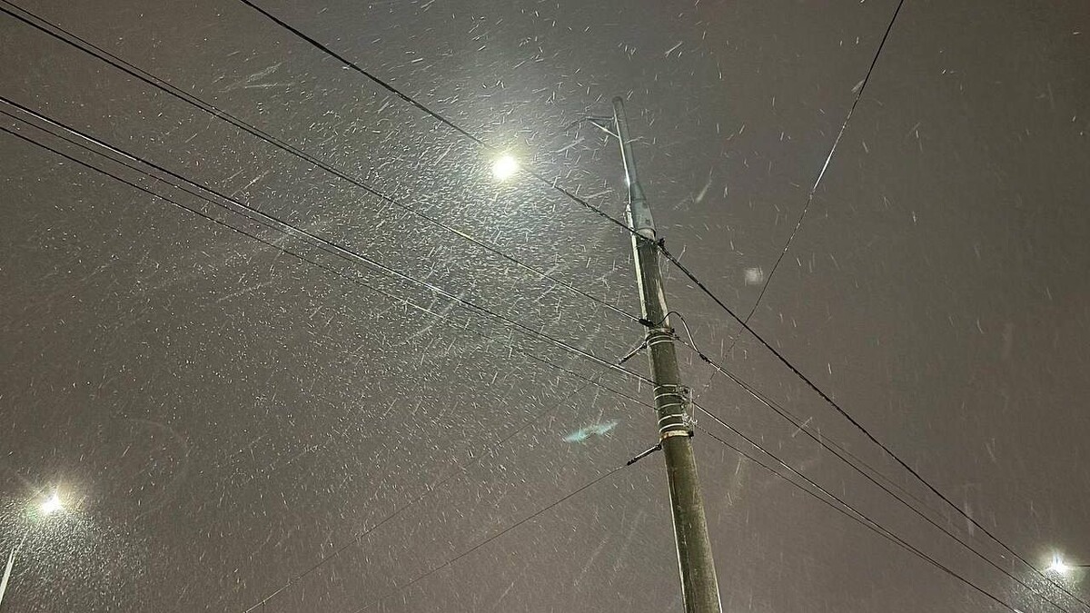    Фото: телеканал «Краснодар»