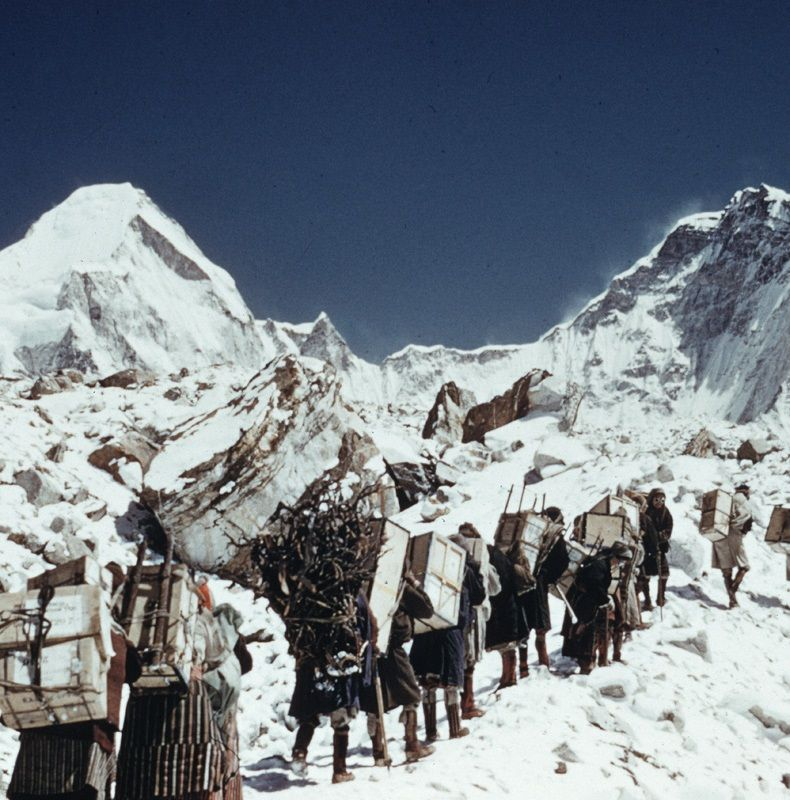 Во время экспедиции 1953 года. Команду сопровождали 362 носильщика, и в итоге экспедиция насчитывала более 400 человек, включая двенадцать шерпов-проводников, а общий вес багажа превысил 4500 кг. Фото: truetravel.su