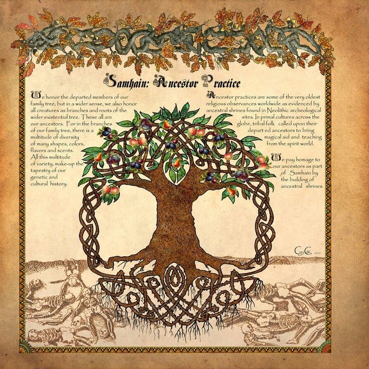 Фото из интернета