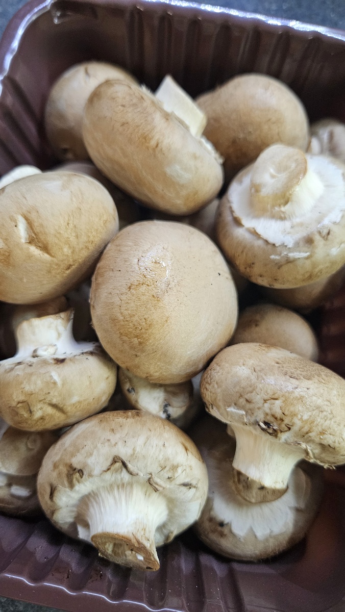 Шампиньоны из магазина