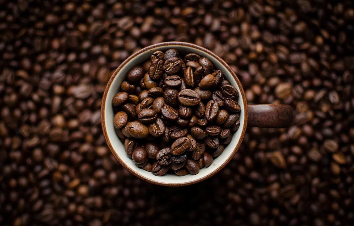 Фото: Jgcv46 / GoodFon.ru