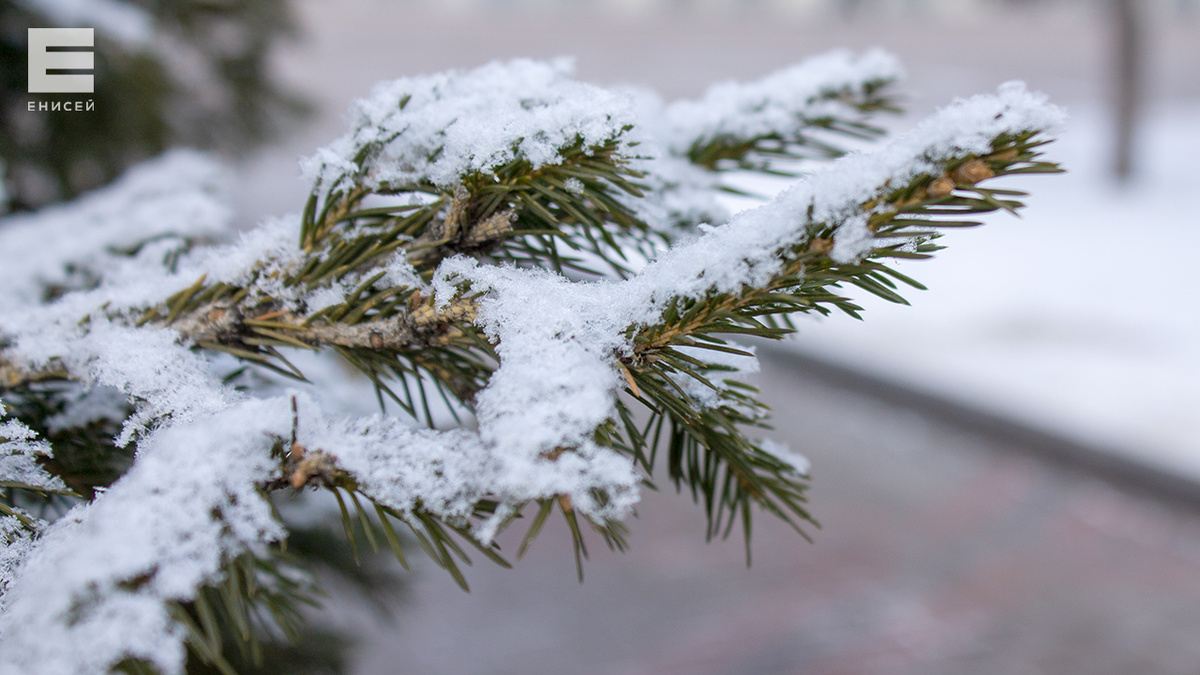     Выходные в Красноярске будут теплыми
