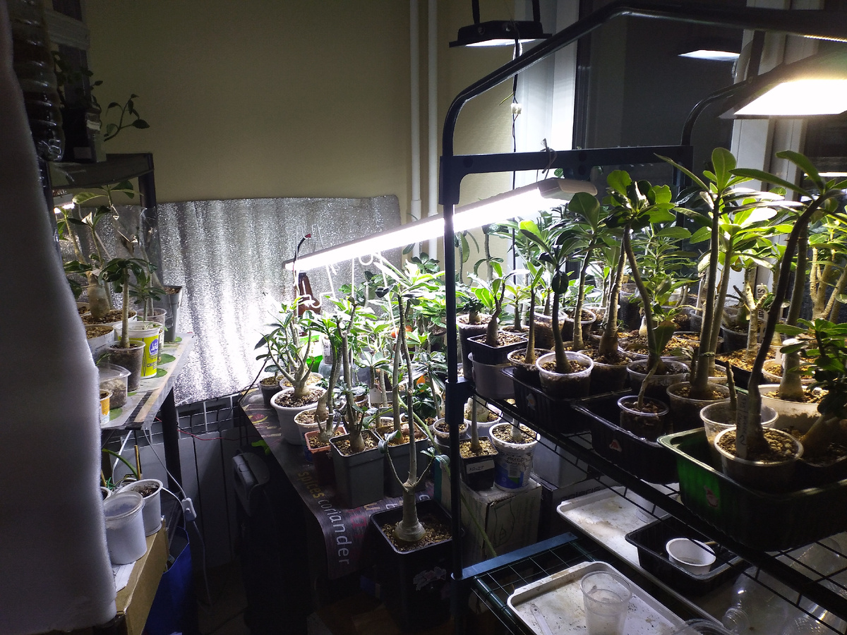 Райский уголок