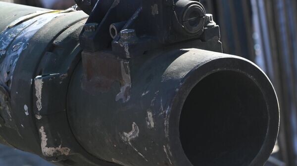    © РИА Новости . Кирилл Каллиников