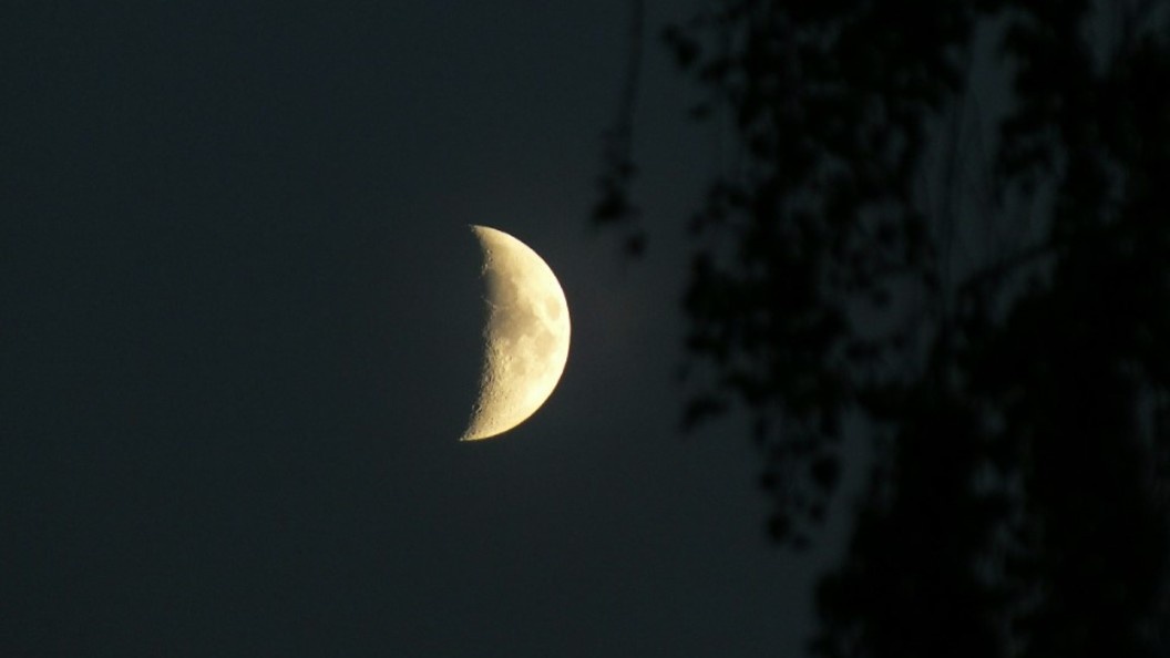    Фото: Victor Lisitsyn/Globallookpress