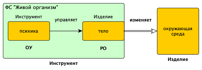 Рис. 2. ФС "Живой организм"