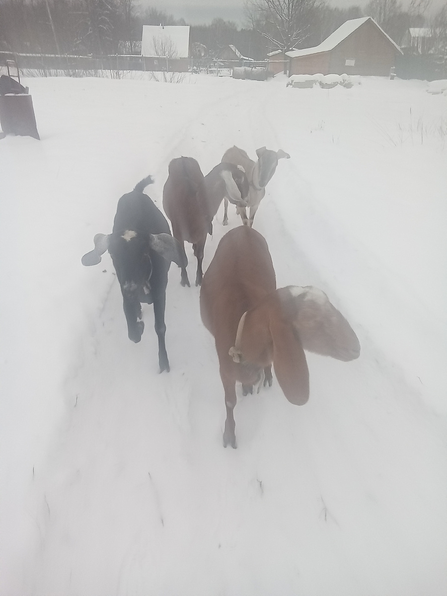 Фото автора.