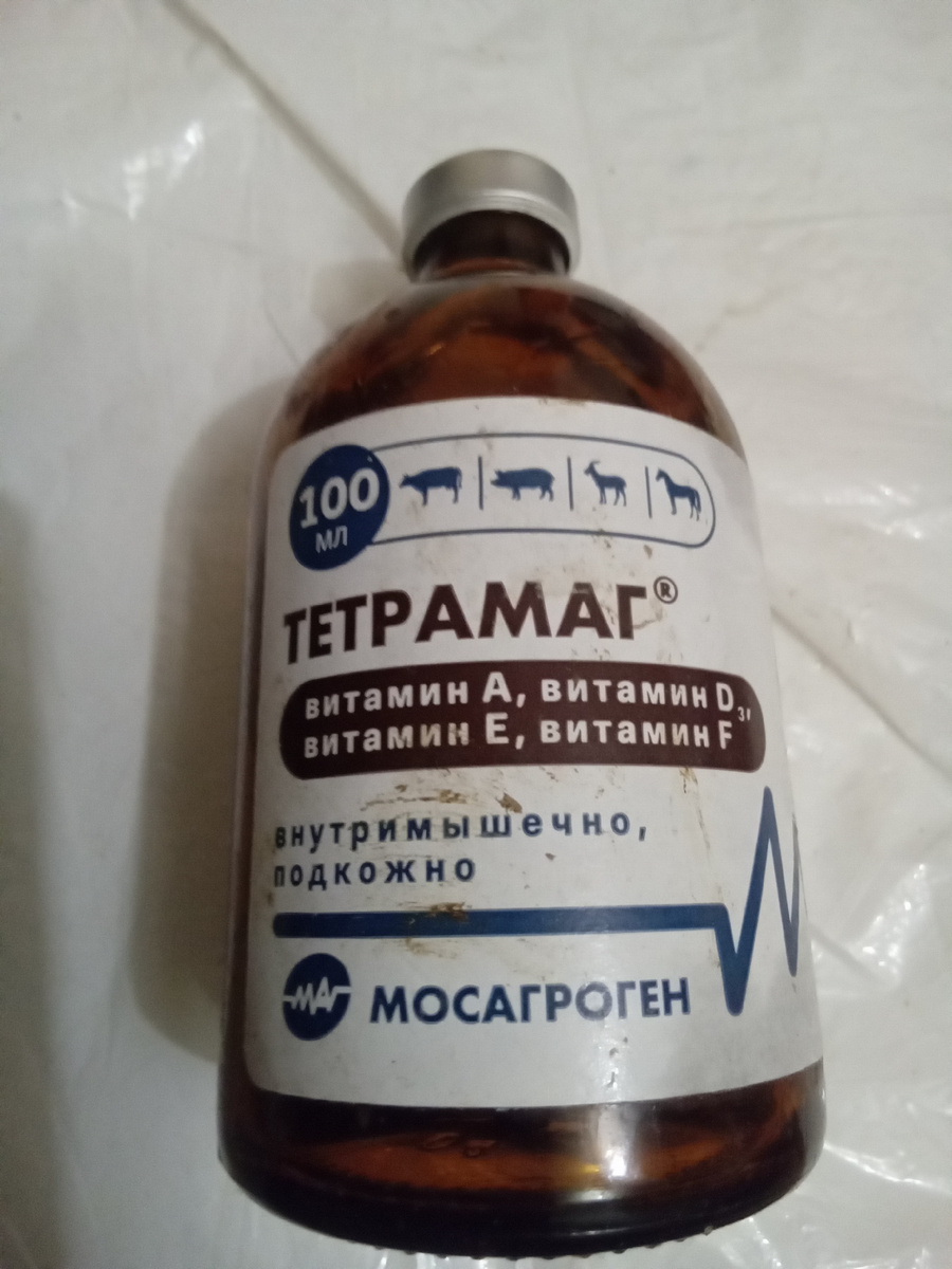 Фото автора.