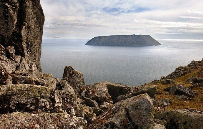 Фото из открытых источников