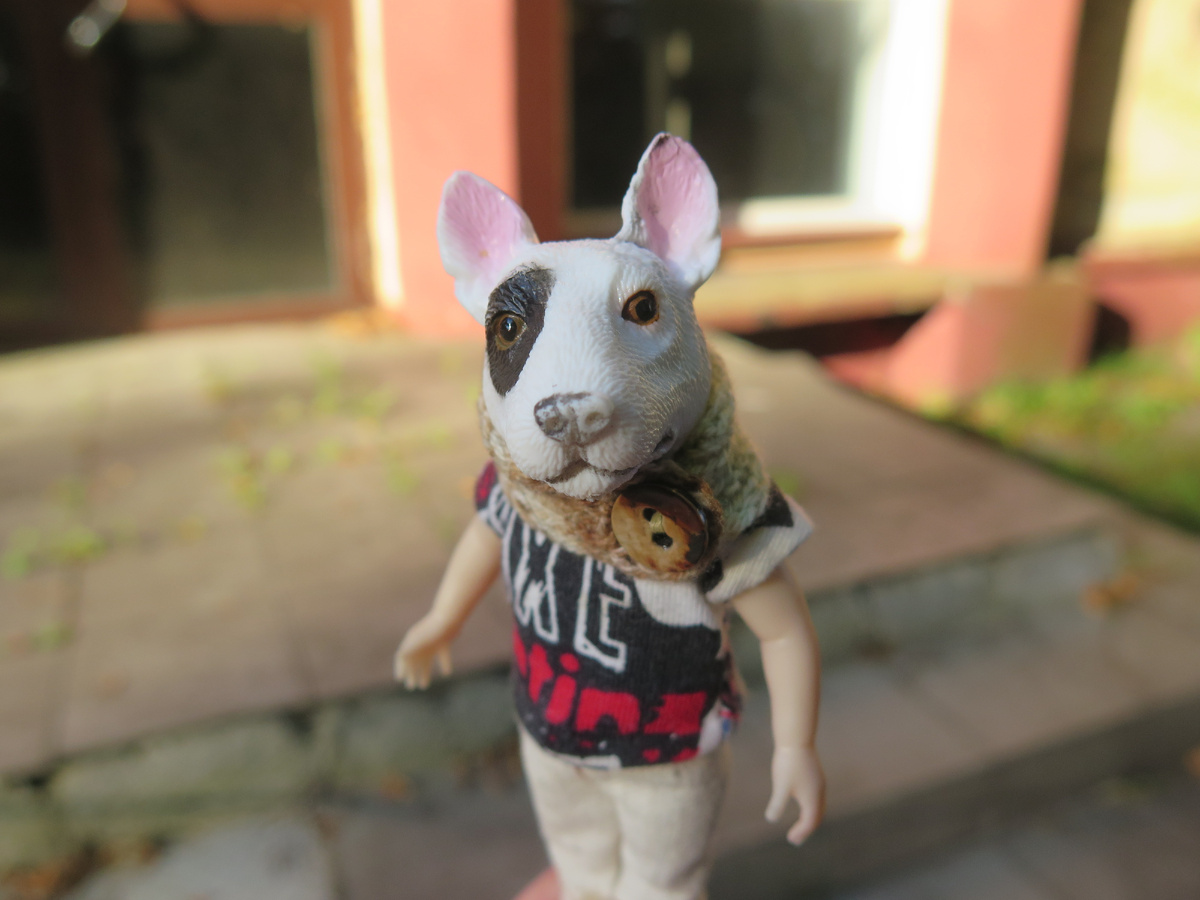 Спутник шамана.