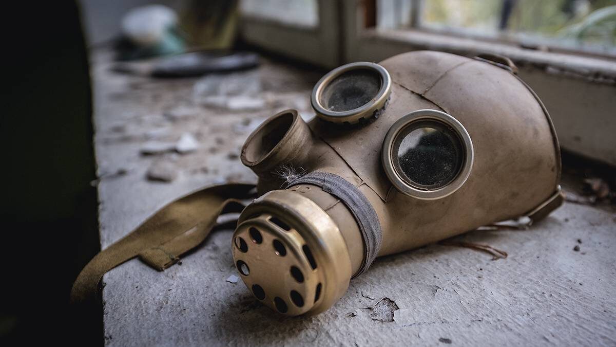    Фото: Shutterstock