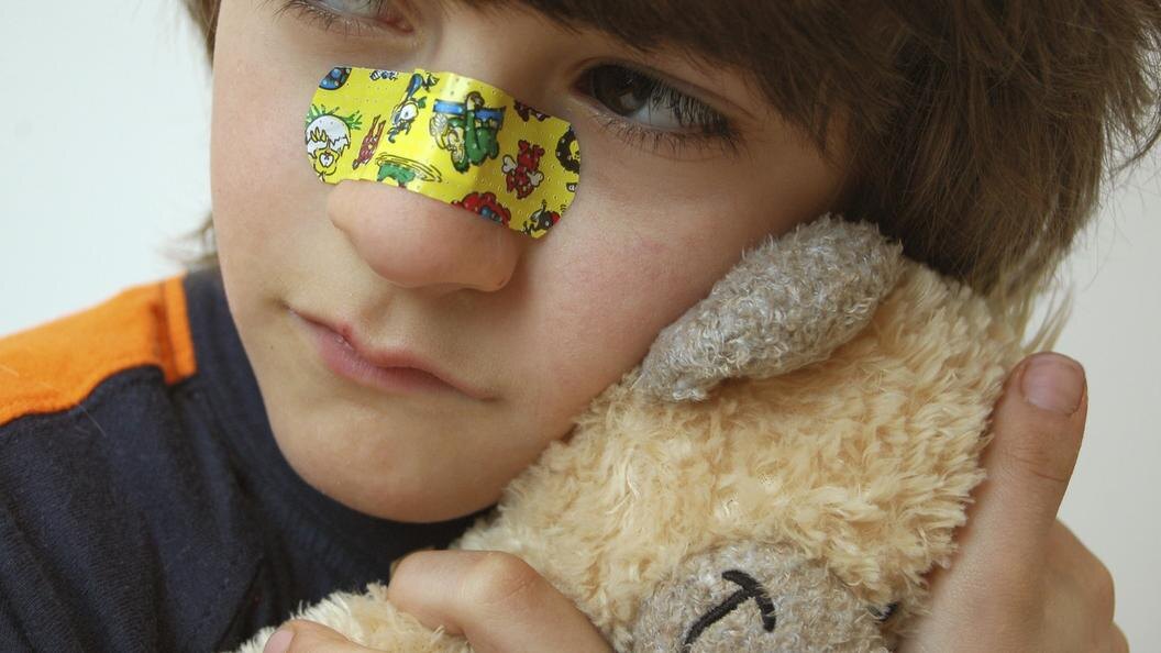    Фото: Michaela Begsteiger/imageBROKER.com/Globallookpress