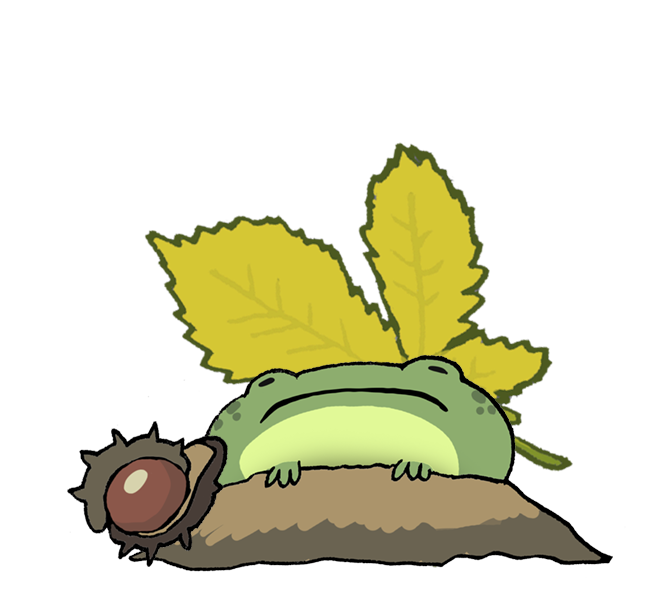 Пипушка-лягушка. Авт. Т.В.К.