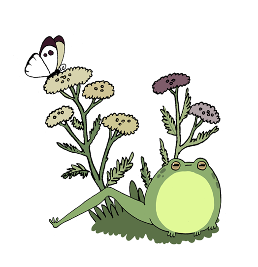 Подружка-лягушка Пипа Авт. Т.В.К.