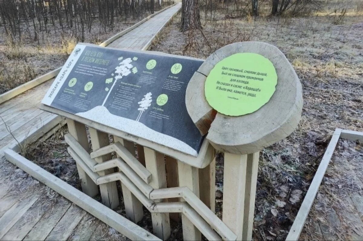    Разрушенные вандалами стенды в экопарке «Царь-бор» восстановили