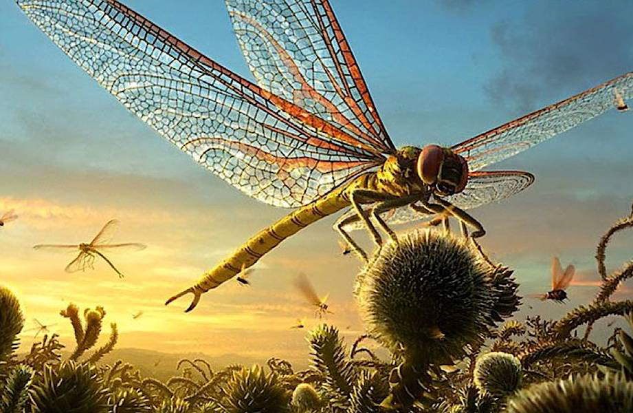 Картинка из свободных источников