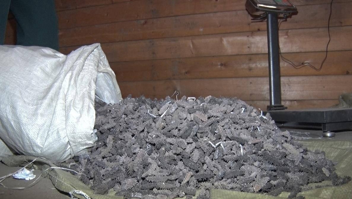     Источник: dvtransproc